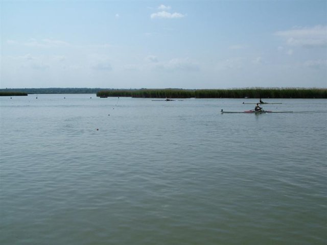 DSCF9570 (Medium)